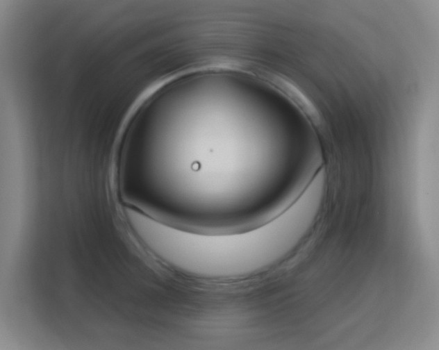 X0000113180948200909111052