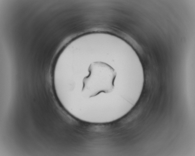 X0000113180950200909111052
