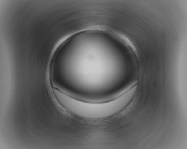X0000113180952200909111052