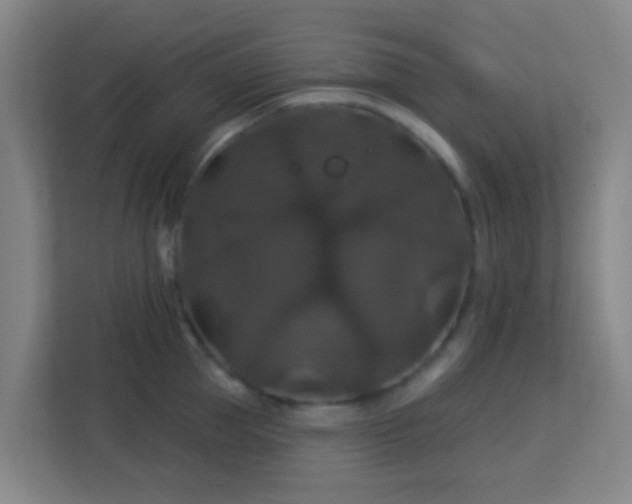 X0000113180953200909111052
