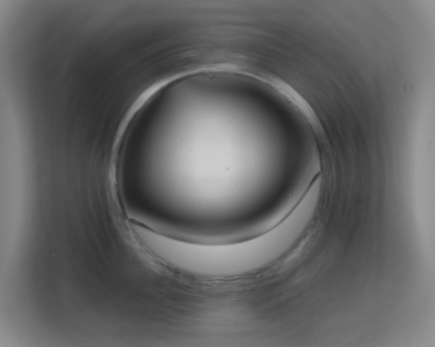 X0000113180956200909111052