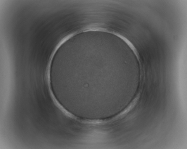 X0000113180957200909111052