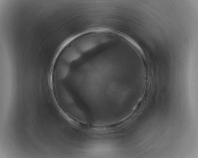 X0000113180959200909111052