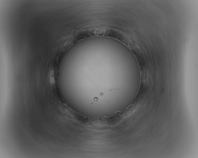 X0000113180962200909111051