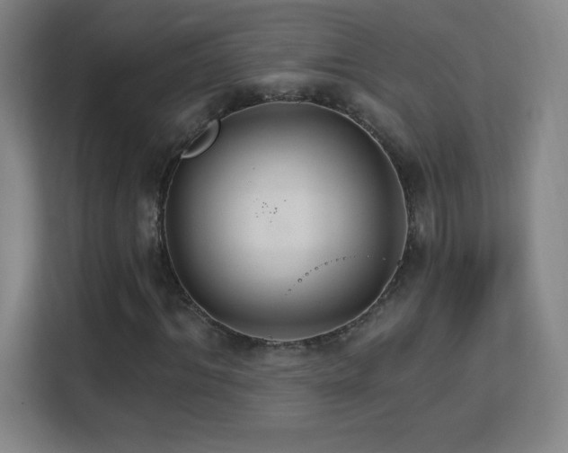 X0000113180964200909111051
