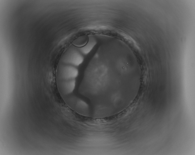 X0000113180966200909111051