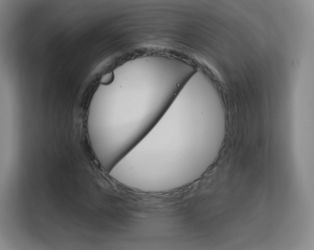X0000113180968200909111051