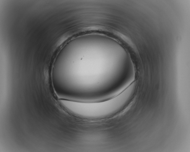X0000113180969200909111051