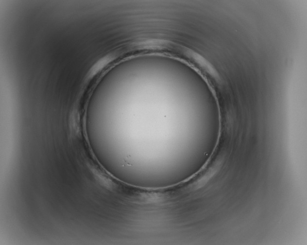 X0000113180970200909111051