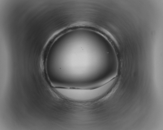 X0000113180973200909111051