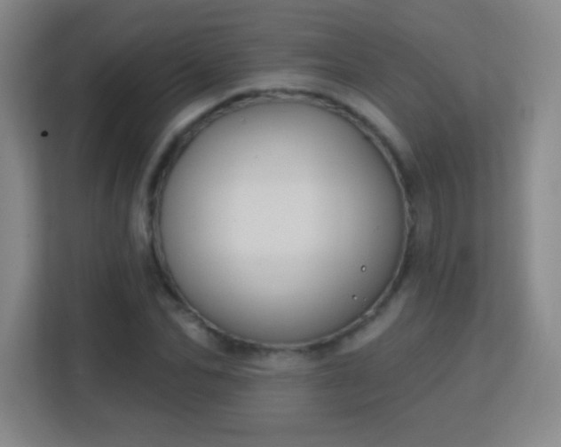 X0000113180974200909111051