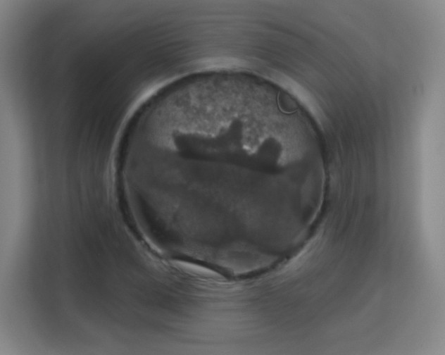X0000113180975200909111051