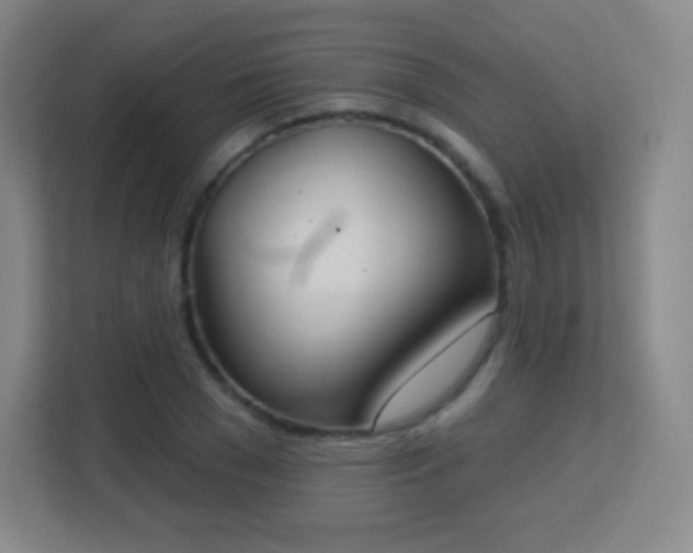 X0000113180977200909111051