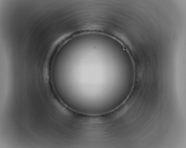 X0000113180979200909111051