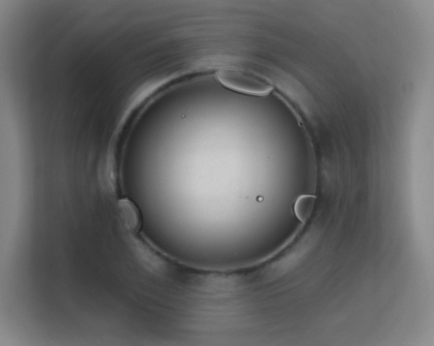X0000113180981200909111051