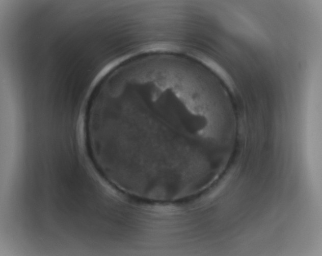 X0000113180983200909111051