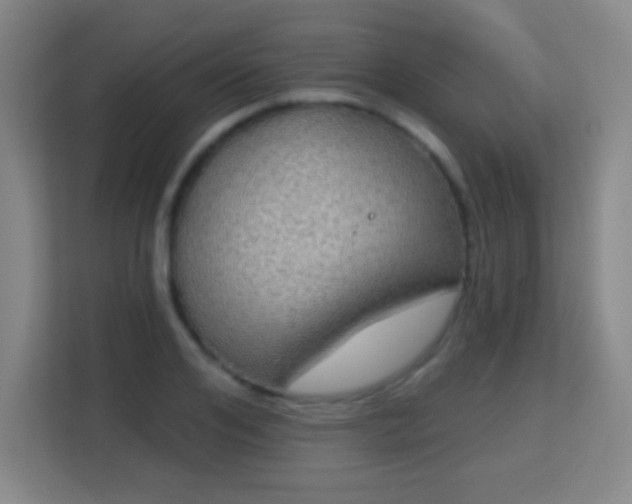 X0000113180984200909111051