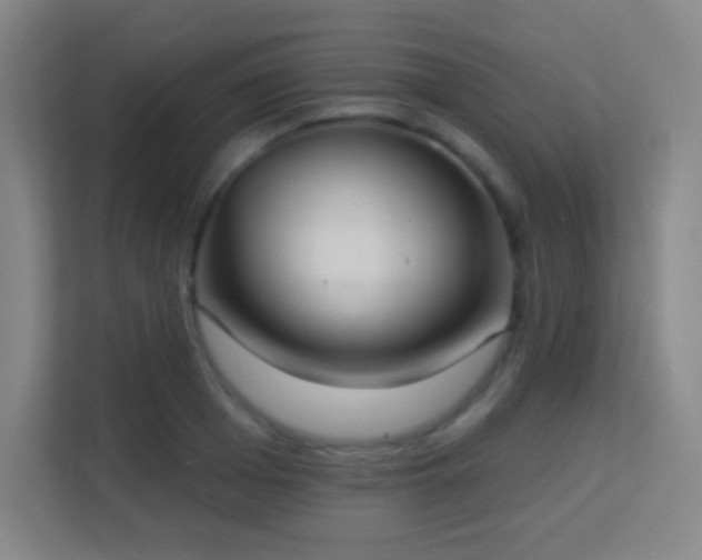 X0000113180985200909111051