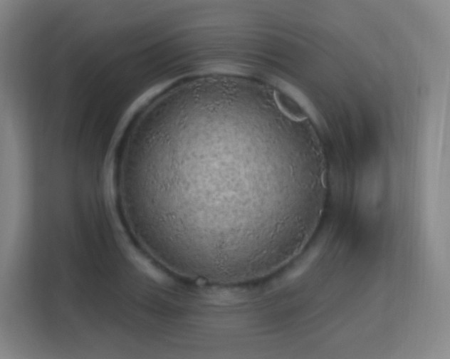 X0000113180987200909111051