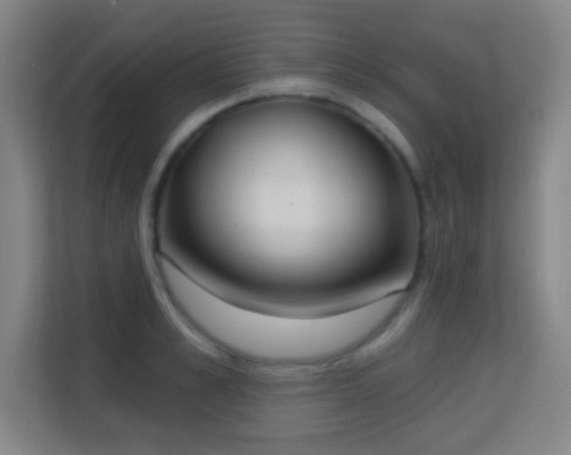 X0000113180989200909111051