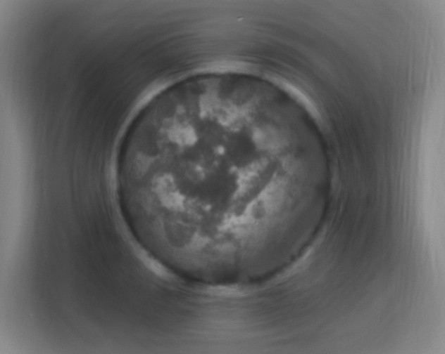 X0000113180990200909111051