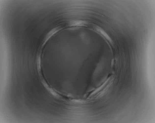 X0000113180994200909111051