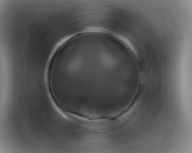 X0000113180995200909111051