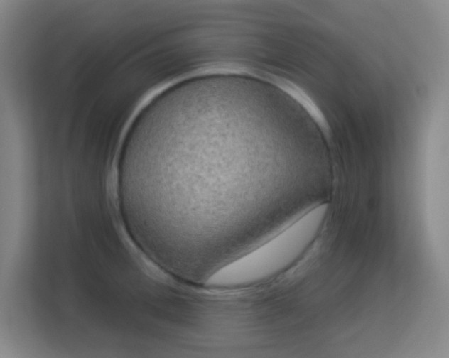 X0000113180996200909111051