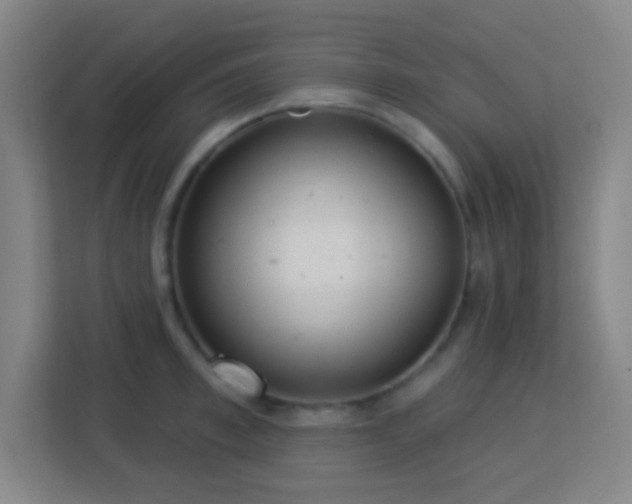 X0000113180997200909111051