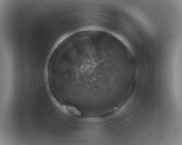 X0000113180998200909111051