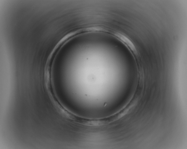 X0000113181000200909111051