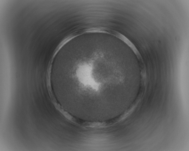 X0000113181002200909111051