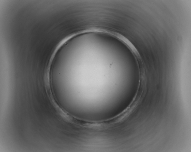 X0000113181004200909111051