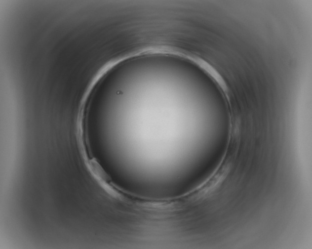 X0000113181005200909111051