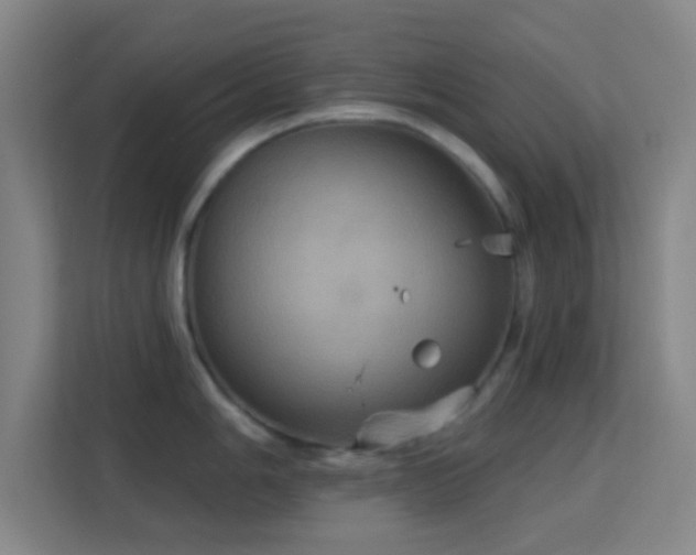 X0000113181006200909111051
