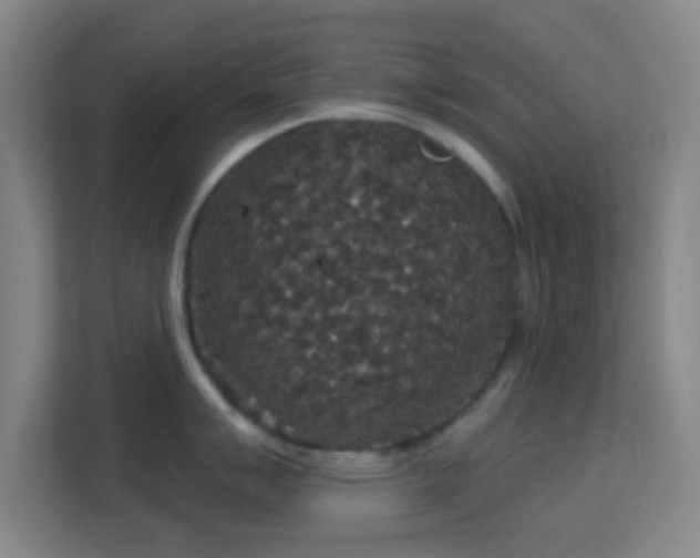 X0000113181007200909111051