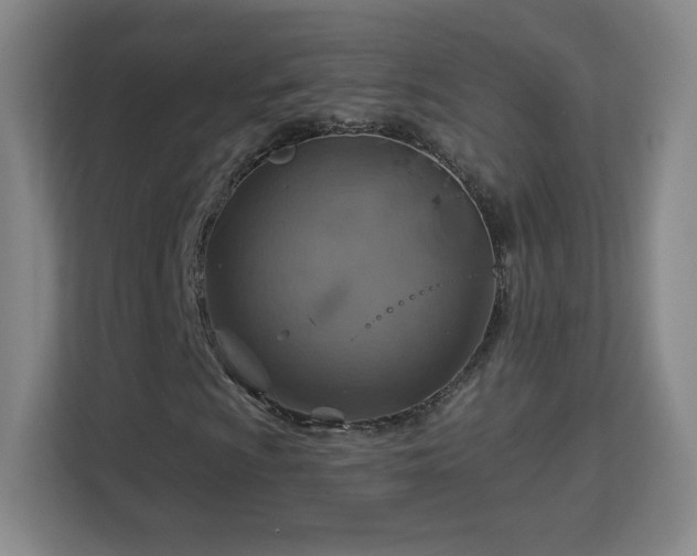 X0000113181009200909111050