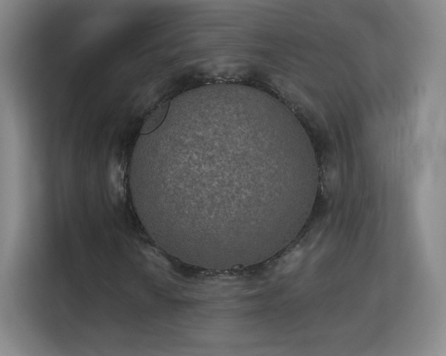 X0000113181010200909111050