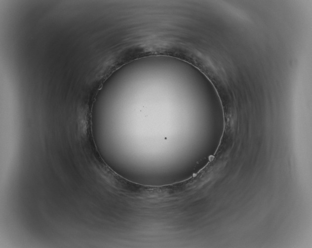 X0000113181012200909111050