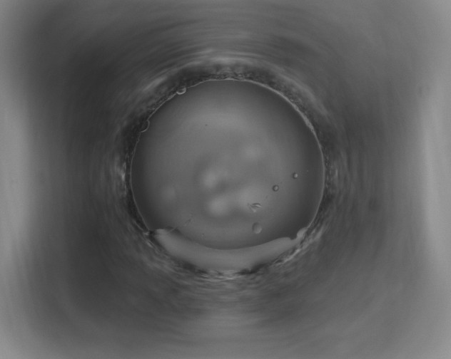 X0000113181013200909111050