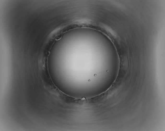 X0000113181016200909111050