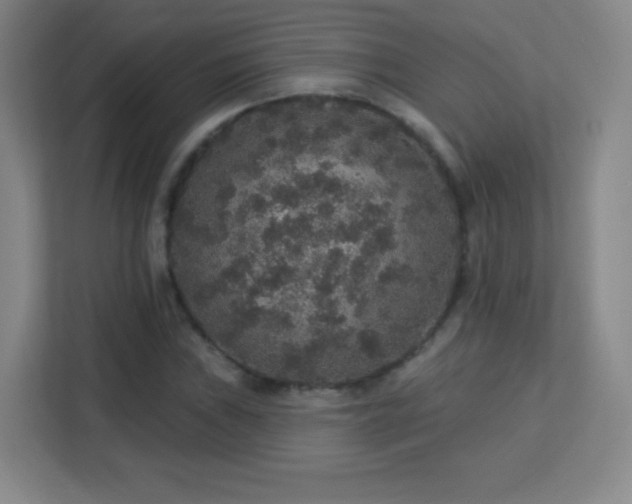 X0000113181019200909111050