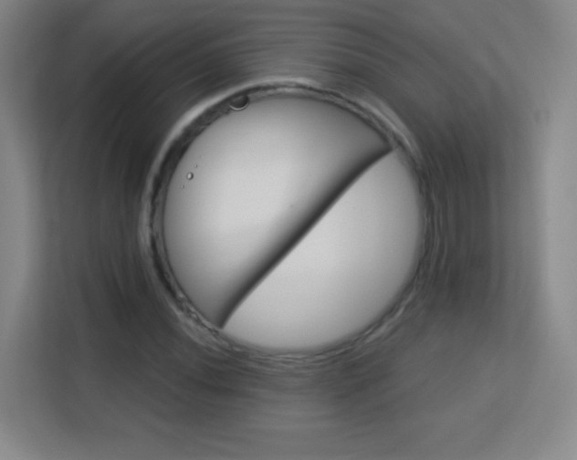 X0000113181020200909111050