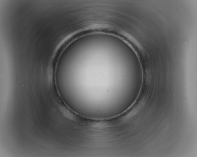 X0000113181021200909111050