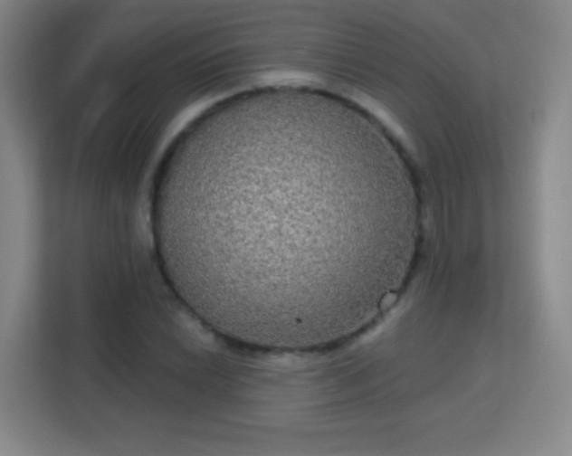 X0000113181022200909111050