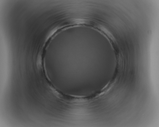 X0000113181023200909111050
