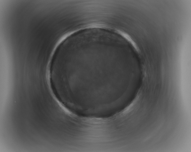 X0000113181024200909111050