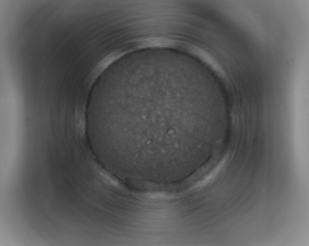 X0000113181025200909111050