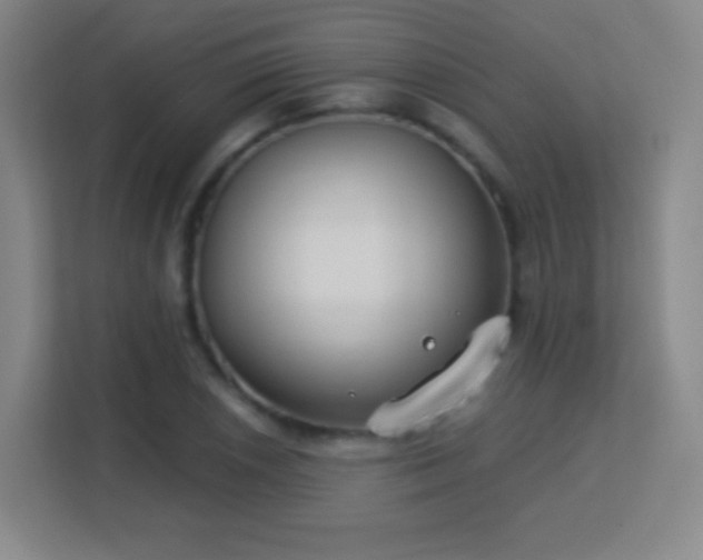 X0000113181026200909111050