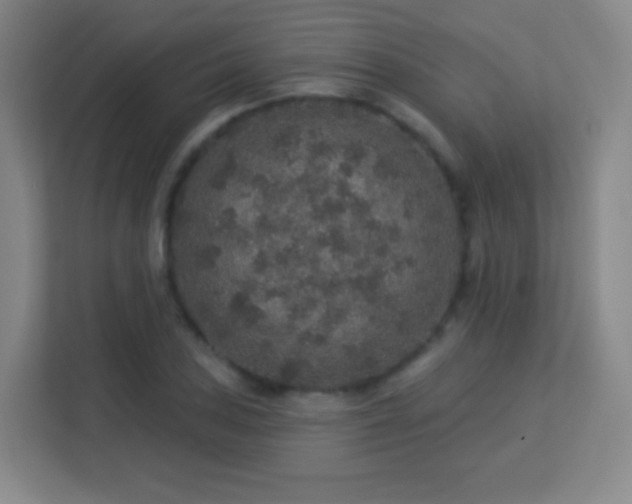 X0000113181027200909111050